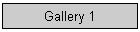 Gallery 1