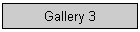 Gallery 3